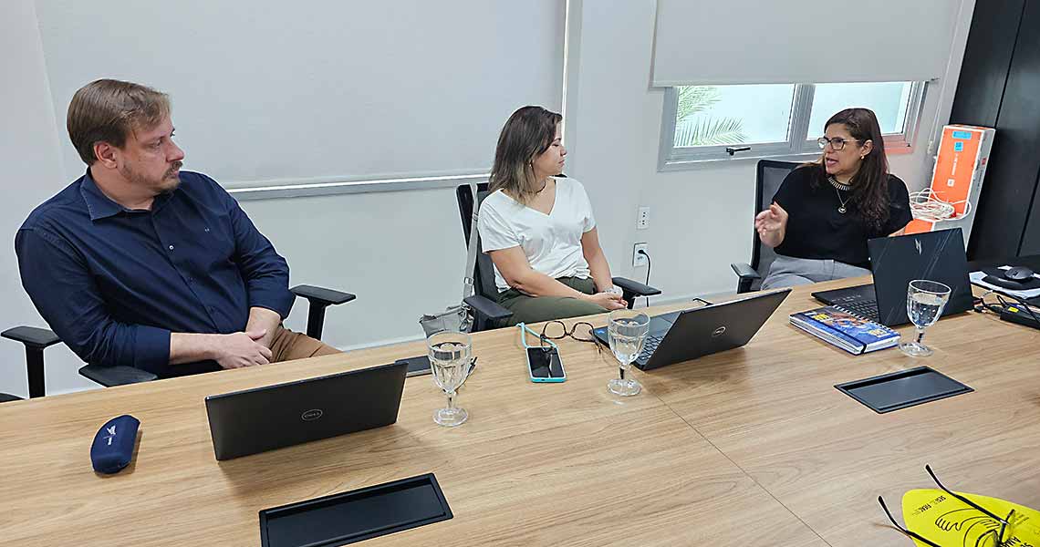 sesi reuniao estrategia 004